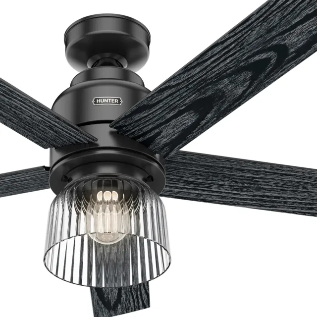 Hunter Fan 52 inch Contemporary Matte Black Ceiling Fan with Light and 5 Blades