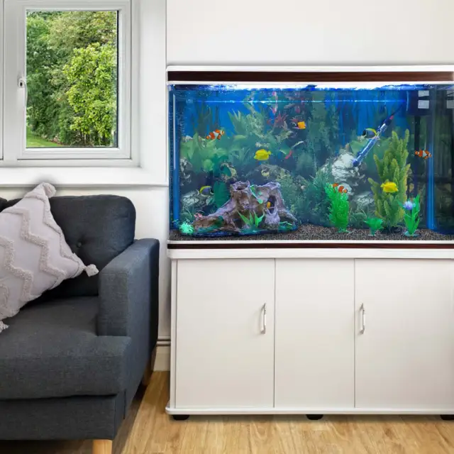 Aquarium tropical avec meuble blanc et équipement complet 4ft 300 litres