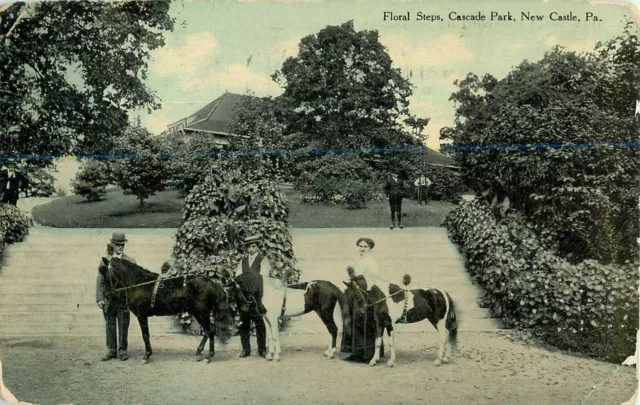 Postcard Floral Steps, Cascade Park, New Castle, PA Posted 1910