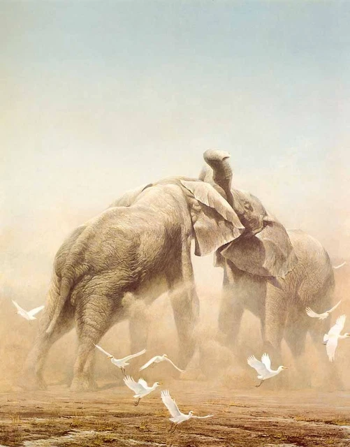 Robert Bateman Sparring Elephants