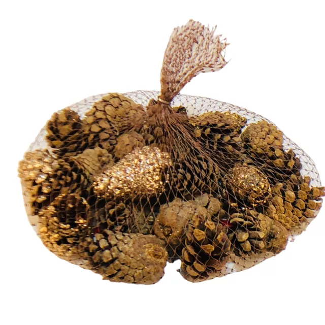 1 Dry qt Cinnamon Scented Mini Pinecones with Gold Glitter