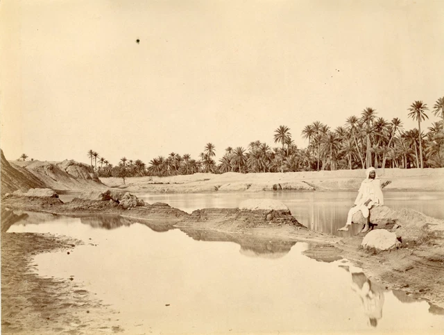 Tirage Albuminé Vintage Algérie, Rue à Biskra - Format 18x24 Cm - Circa 1880 - Collection Photo Historique