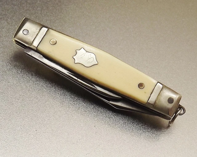 Hug De Pingouin De Poche, Cadeau De Pingouin, Petit Câlin De Poche