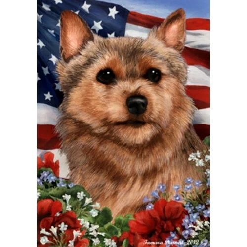 Patriotic (1) House Flag - Norwich Terrier 16152
