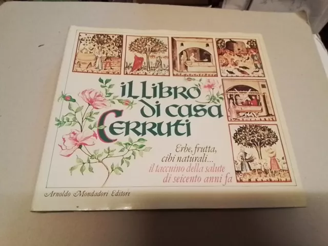 IL LIBRO DI CASA CERRUTI - Mondadori 1983, 18mr24