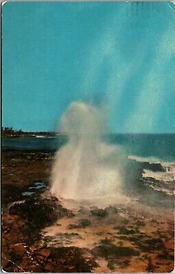 Spouting Horn Sea Cave Hawaii Postcard