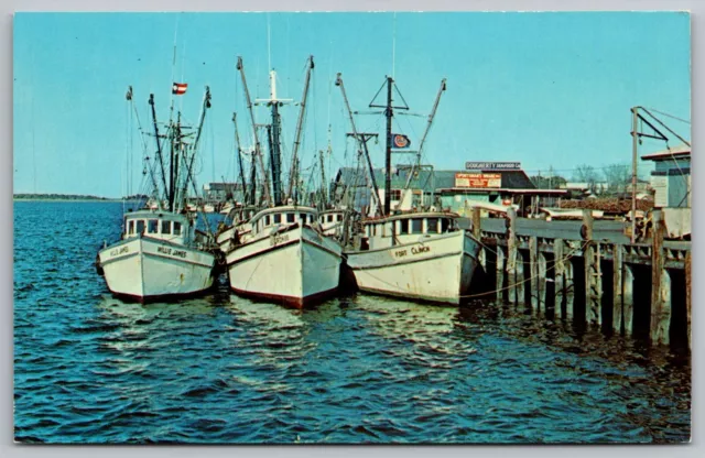 Shrimp Boats Fernandina Beach Florida Pier Dock Oceanfront Vintage UNP Postcard