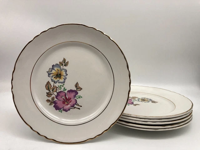 Lot De 6 Assiettes Plates – Orchies Moulin Des Loups – État Parfait