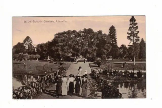 Australia Postcard,  In the Botanic Gardens , ADELAIDE SA