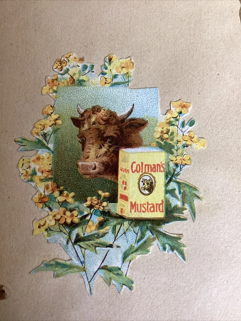 Página de libro de recortes troquelada de colección del siglo XIX con tarjetas victorianas y troquelados en ambos lados