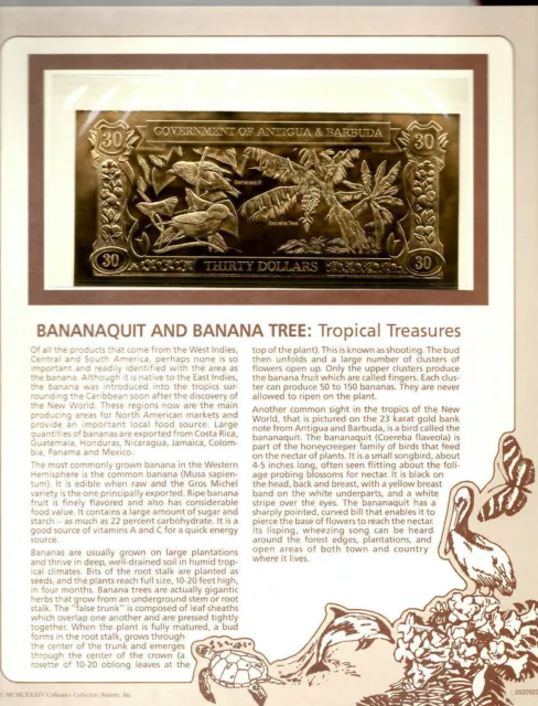23kt Gold $30 Antigua UNC 1981 Banknote - Bananaquit & Banana Tree - RARE