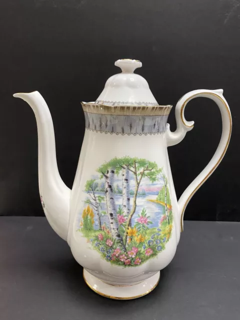 Royal Albert Silver Birch Large Coffee Pot - England