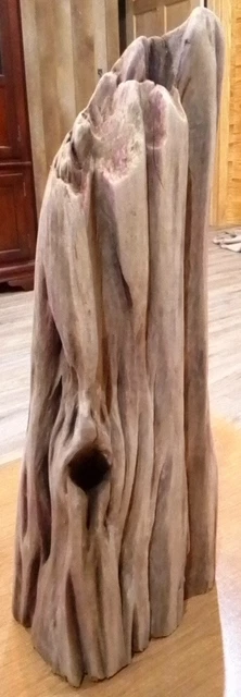 Driftwood Reclaimed Creosote Post unique driftwood  Taxidermy
