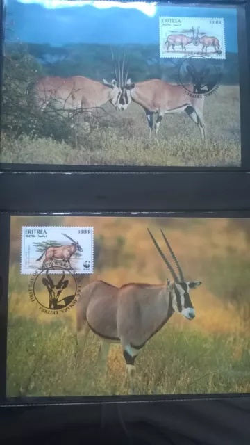 Eritrea 1996 Satz WWF Spiessbock Oryx Maximumkarten