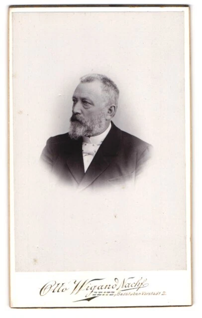 Fotografie Otto Wigand Nachf., Zeitz, Badstuben Vorstadt 2, Herr mit Vollbart b