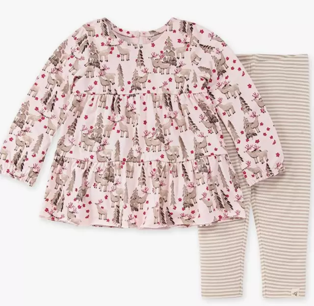 Burt's Bees NewBorn  Girls' Top and Pant Set, Tunic and Leggings Christmas