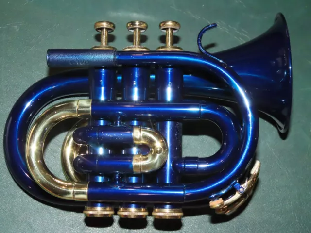 Trompette de poche Roy Benson PT-101B laqué Bleu 2
