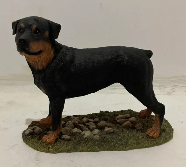 Sherratt & Simpson Rottweiler Standing Sculptures #89077 Polyresin