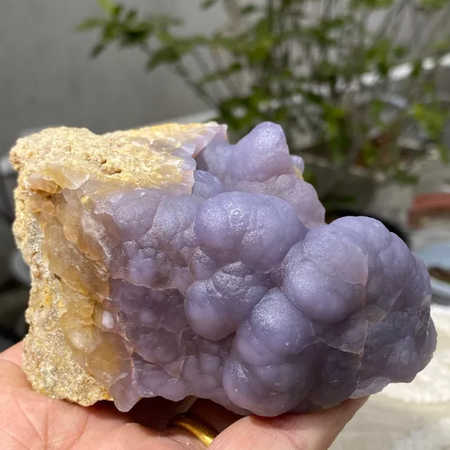 678g Translucent Blue Fluorite Stalactiform After Anhydrite Mineral Peru