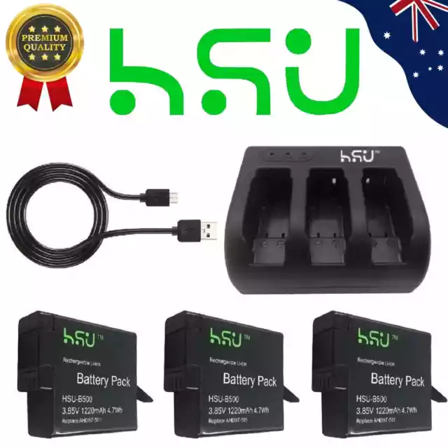 HSU 2-Pack Replacement Battery & LED Dual Charger for GoPro 11/10