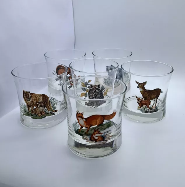 "American Wildlife" Rocks Glasses Set Of 6 West Virginia Specialty Glass Vtg Bar