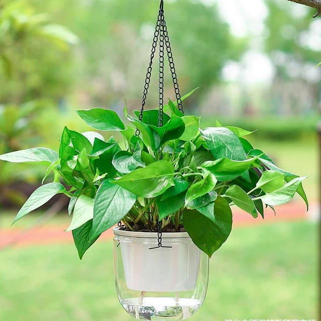 de fer Pot de fleurs hydroponique Planteur Panier Bassin suspendu Pot de fleur