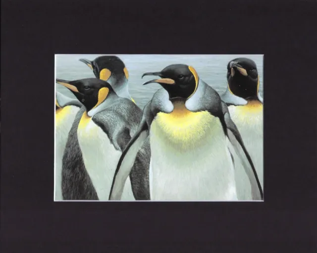 8X10" Matted Print Art Painting Picture, Robert Bateman: King Penguins, 1985