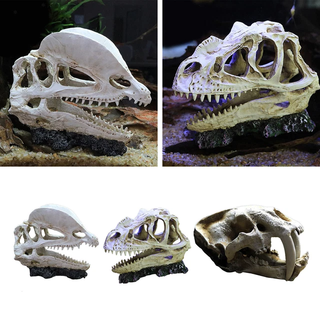 Aquarium  Tank Dinosaure Crâne Ornement Décoration Décor