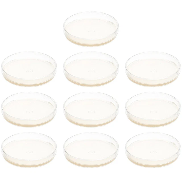 10 Pcs Agar Petri Dish Agar Plate Nutrient Agar Plate Supplies Glass