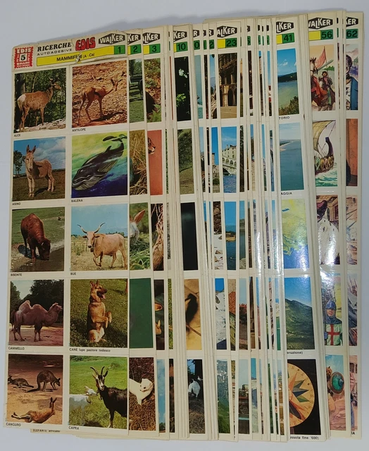 Ricerche Edis Walker Almost Complete Set Sheets Stickers -4 Ricerche Edis Walker Almost Complete Set Sheets Stickers -4