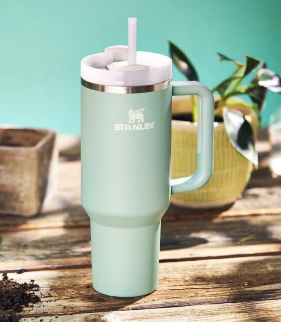 Stanley Cup - Cannucce di vetro lunghe 31 cm per tazza da viaggio Stanley Adventure Quencher da 1134 g, confezione da 8 cannucce colorate di ricambio con 2 spazzole per la pulizia