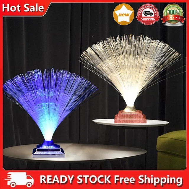 LED OPTIC FIBER Light Touch Control RGB Festival Lamp 1800mAh for