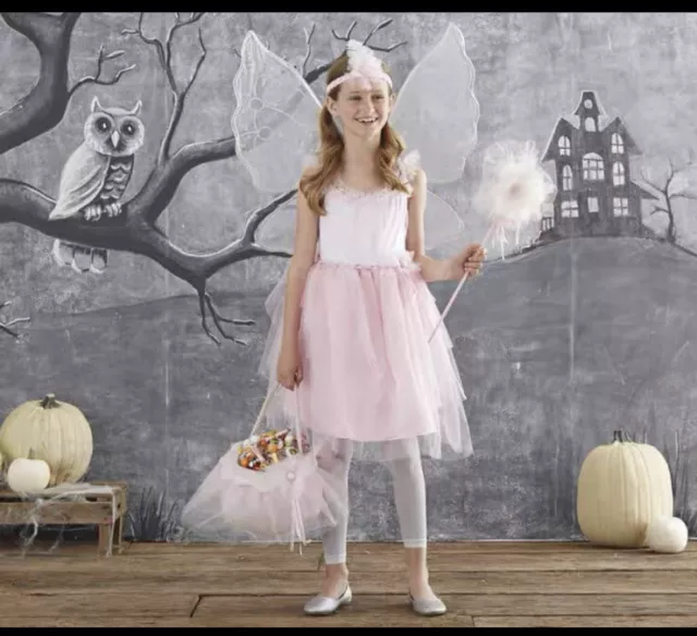 Pottery barn kids fairy costume