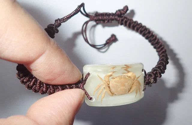 Animal Acrylic Bracelet River Crab Specimen Glow in the Dark YL15