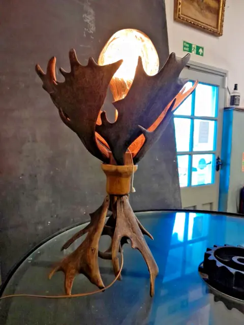 Fallow Deer Antler Table Lamp, Handmade Very Unique Gift Home Cottage Collector