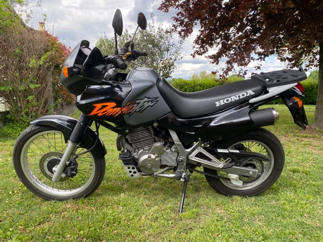 honda nx dominator 650