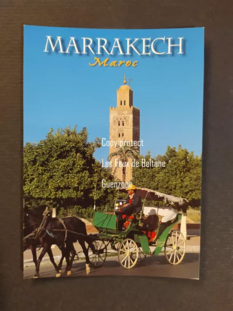 MARRAKECH calèche chevaux  carte postale postcard