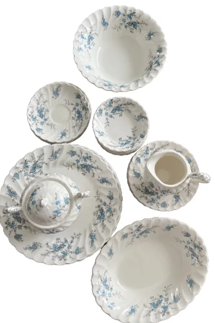 Myott England Forget Me Not Fine Staffordshire Ware Set 30 Pieces