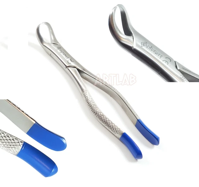 GERMAN COW HORN Lower Molar Dental Tooth Extraction Extracting Forceps