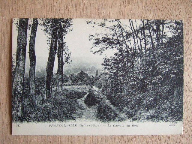 Cpa Franconville (95) Le Chemin Du Bois.