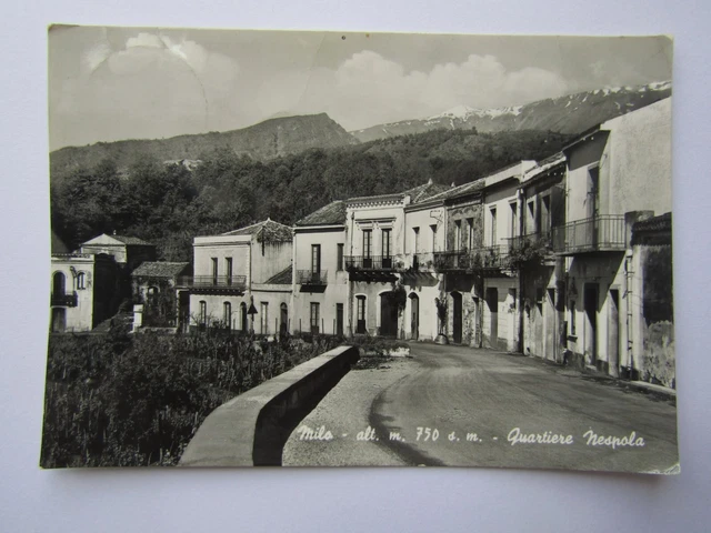 Cartolina Milo Quartiere Nespola B/N Viagg-Affr Anni 50