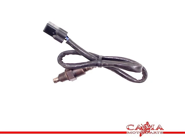 SENSORE LAMBDA Yamaha TRACER 9 GT 2021 (BAP MTT890) 2022