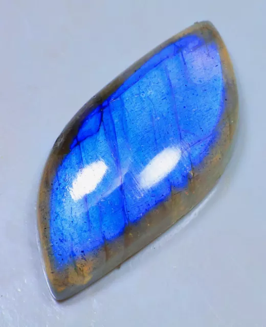 100% Top Natural Deep Blue Fire Labradorite Fancy Cabochon Gemstone Gf-