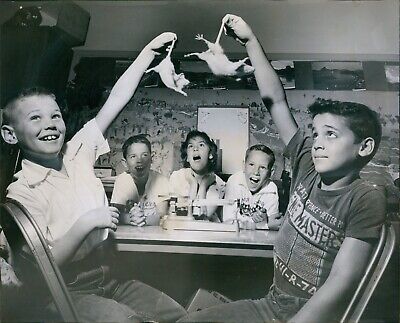 1959 Rose Calton Rat Diet Experiment Robert Willey Joe Fernandez 8X10 Photo