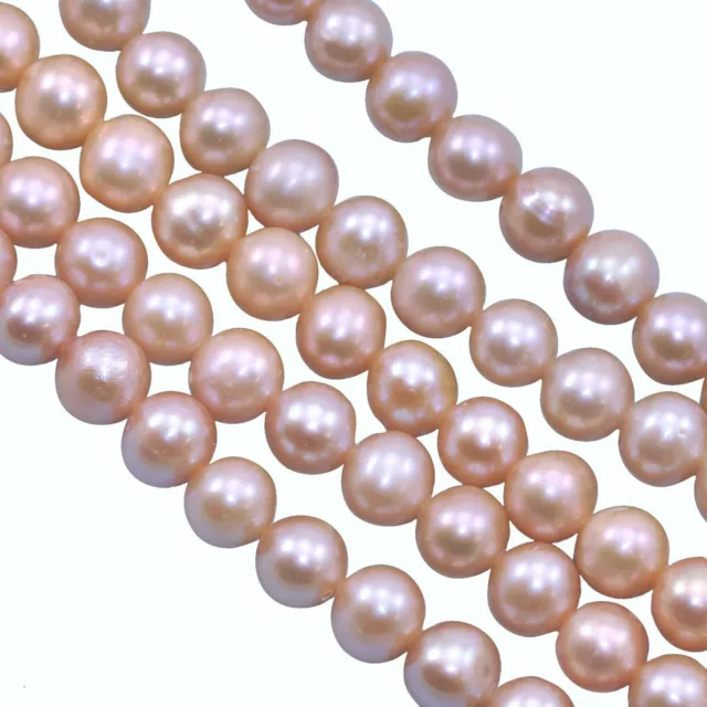 Natural Oyster Peach Mauve Dusty Pink Near Round Freshwater Pearls Beads A