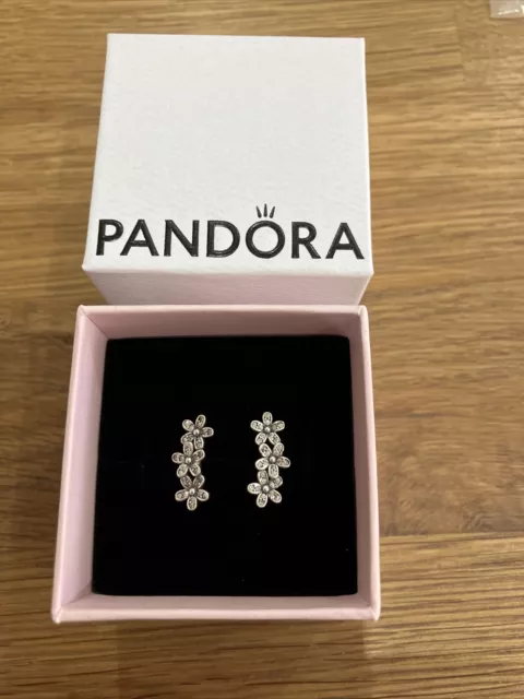 Dazzling daisy clusters stud earrings store