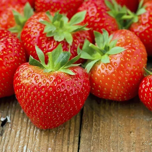 ***TOP QUALITY SEEDS***Super Sweet Strawberry Temptation  x 25 Seeds