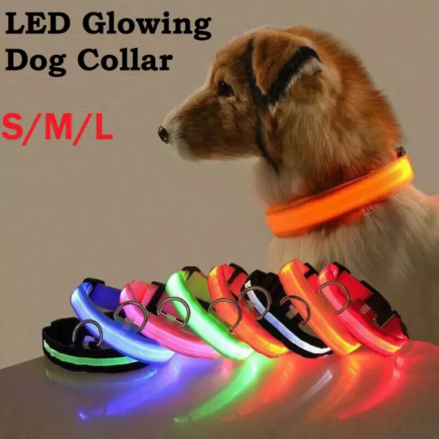 USB Rechargeable LED Dog Collar Nylon Glow Flashing Light Up Safety Pet Collars