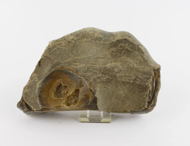 Mineralien Feuerstein mit Quarzdruse 1,2kg Mineraliensammlung Sammlungsauflösung