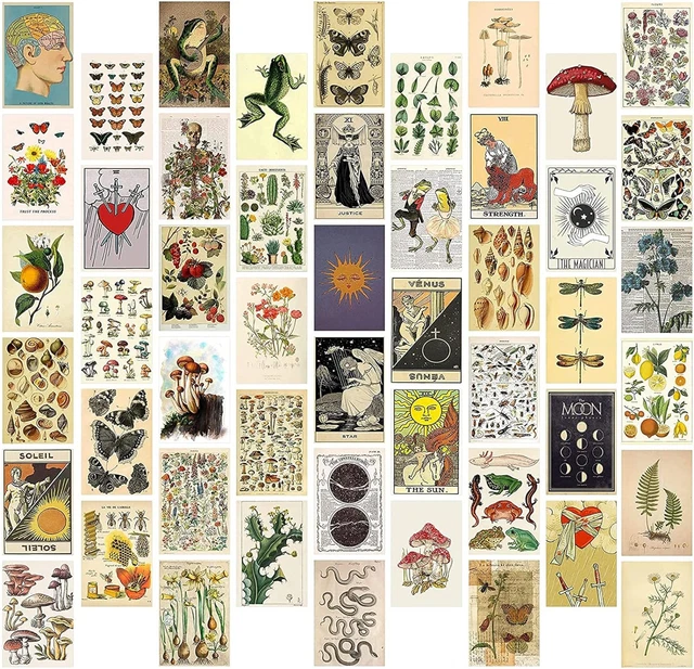 Kit Collage Da Parete Botanico - 50 Poster Vintage 10x15 Cm, Per Decorazione Camera - Foto 11
